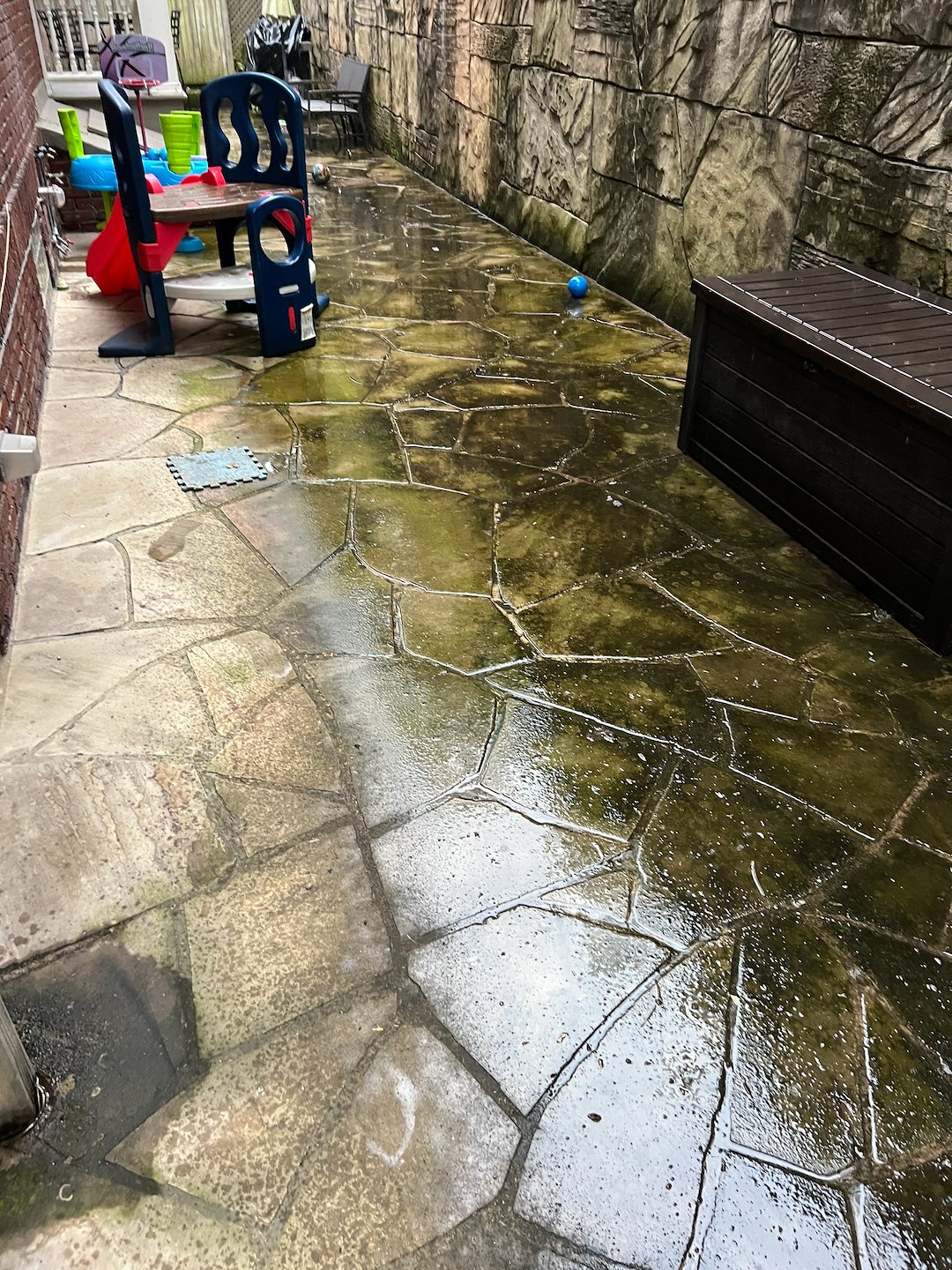 Expert Soft Wash Stone Patio Restoration in Squirrel Hill