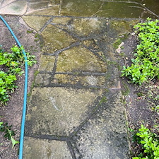 Expert-Soft-Wash-Stone-Patio-Restoration-in-Squirrel-Hill 4