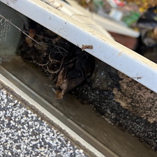 Fox-Chapel-Home-Gets-a-Thorough-Gutter-Cleaning-Roof-Inspection-by-JR-Pressure-Washing 1