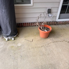 Professional-Pressure-Washing-and-Soft-Washing-Transformation-in-Fox-Chapel-PA 12