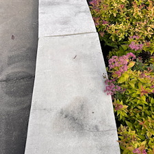 Professional-Pressure-Washing-and-Soft-Washing-Transformation-in-Fox-Chapel-PA 9