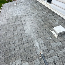 Sparkling-Results-Professional-Roof-Cleaning-for-a-Ross-Township-Duplex 0